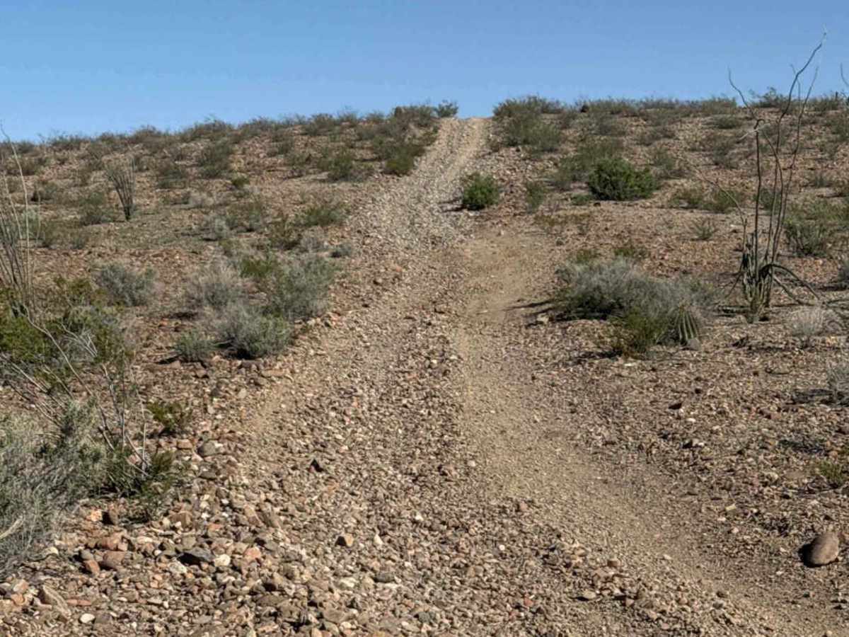 Sa1069 trail photo