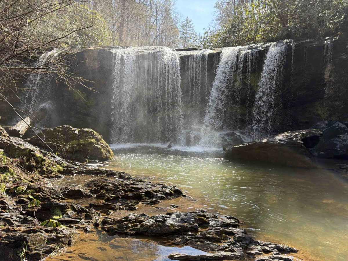 Brasstown Falls - FS 751 trail photo