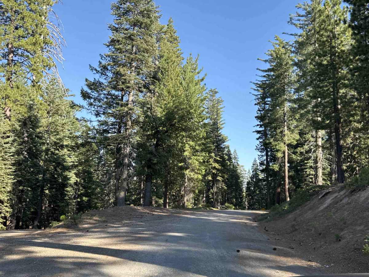 Spruce Creek - FS 16 trail photo