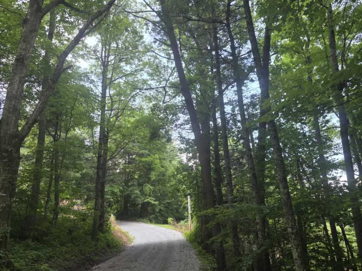 Ridge Road trail photo