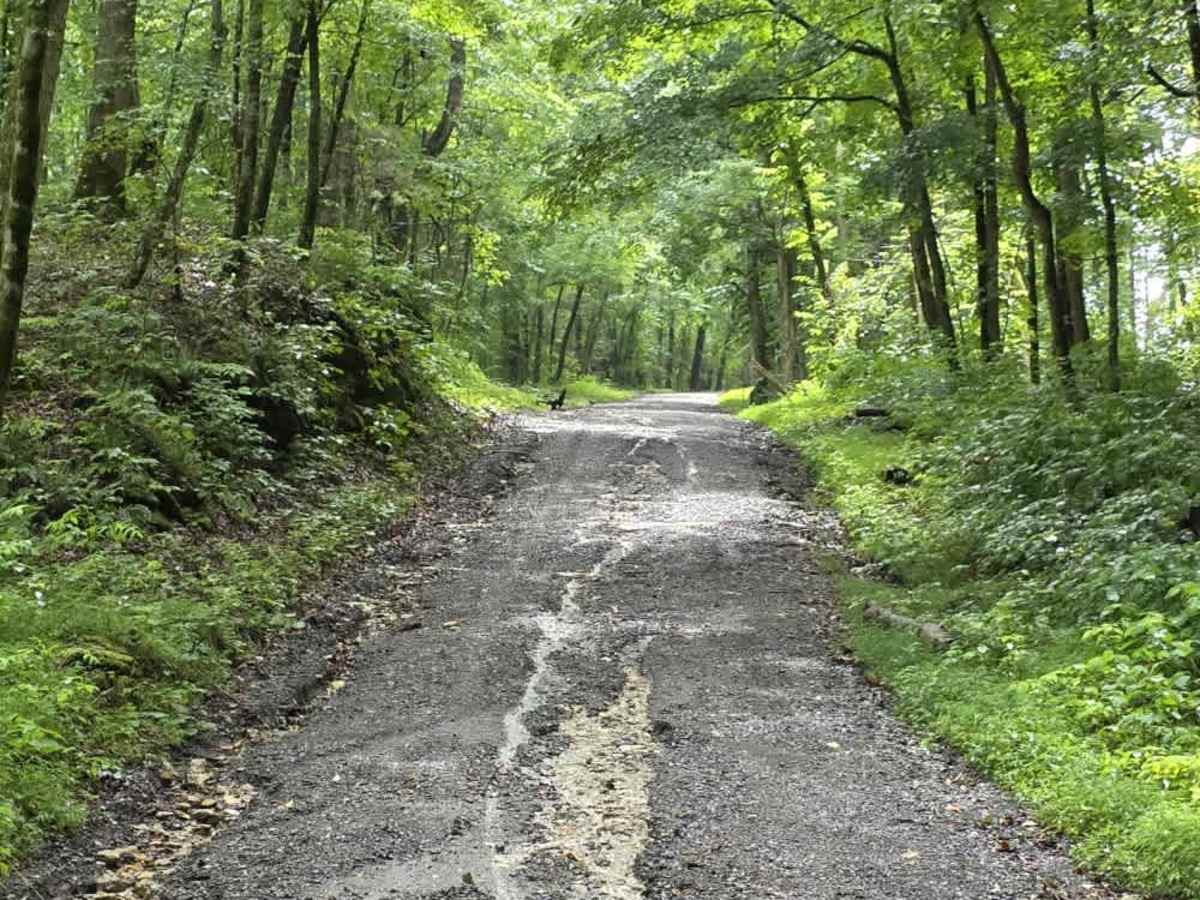 Beech Grove Road - Macon County Tour photo 4