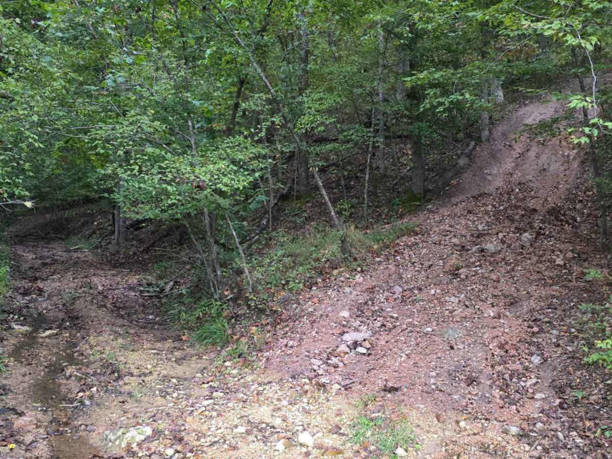 Woodlands Trail #2 trail photo