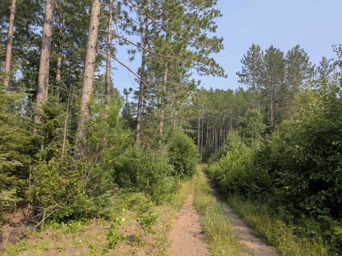 Folly Creek photo 3