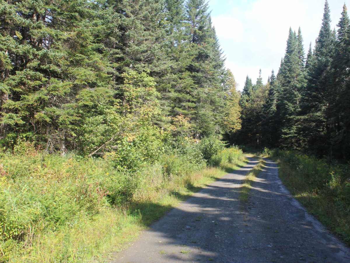 Falkenham Trail photo 3