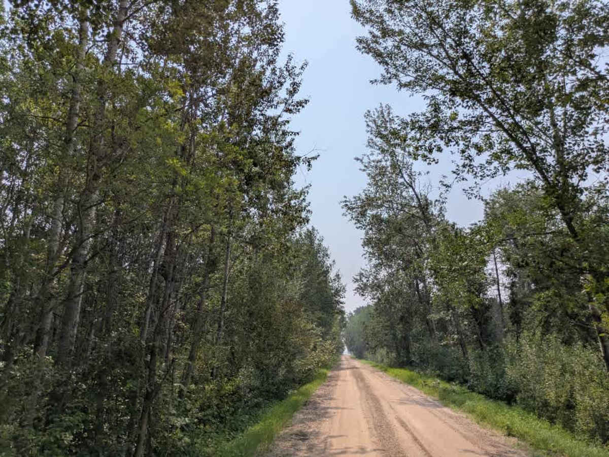Jelle Road trail photo