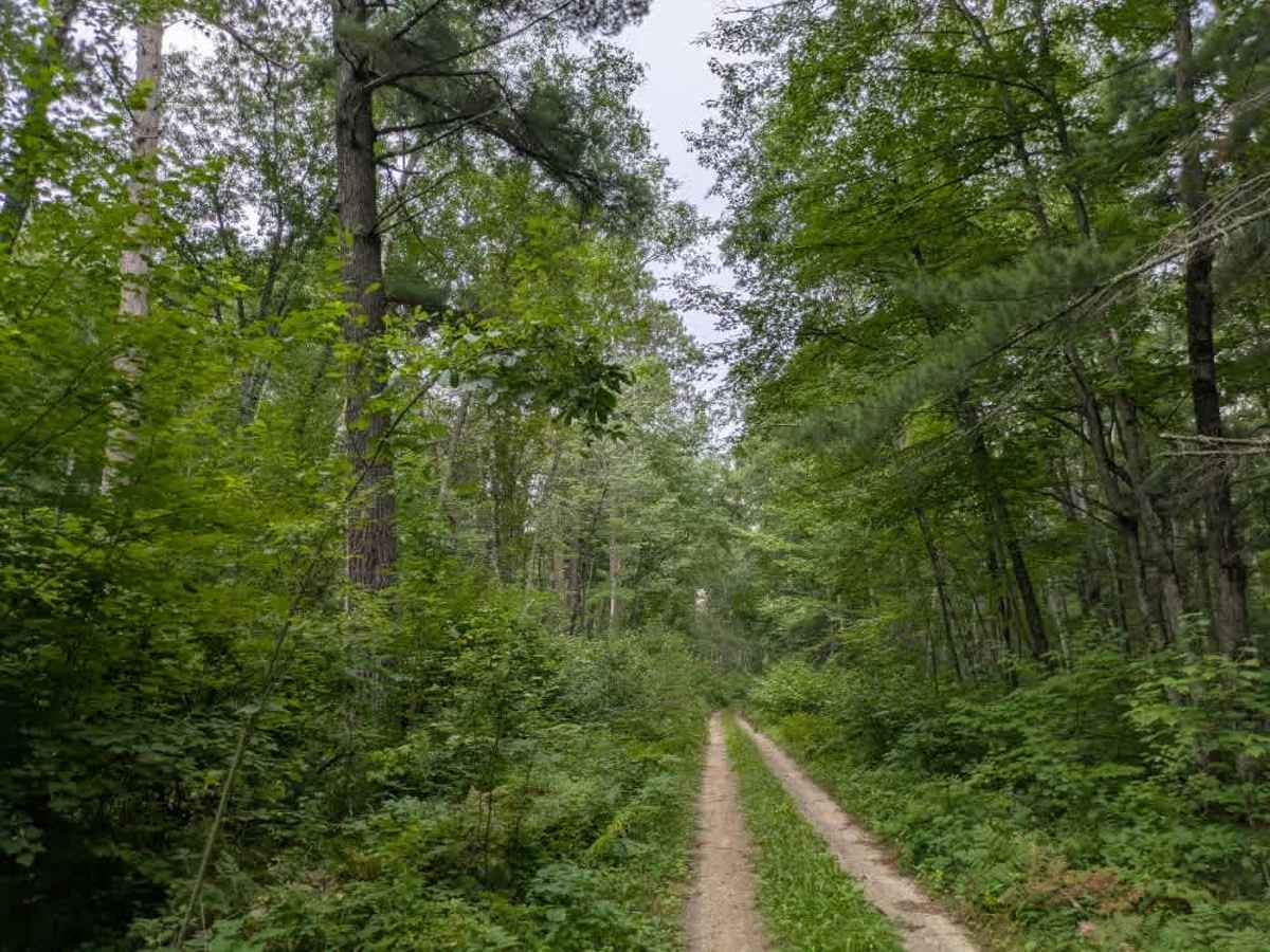 2996 trail photo