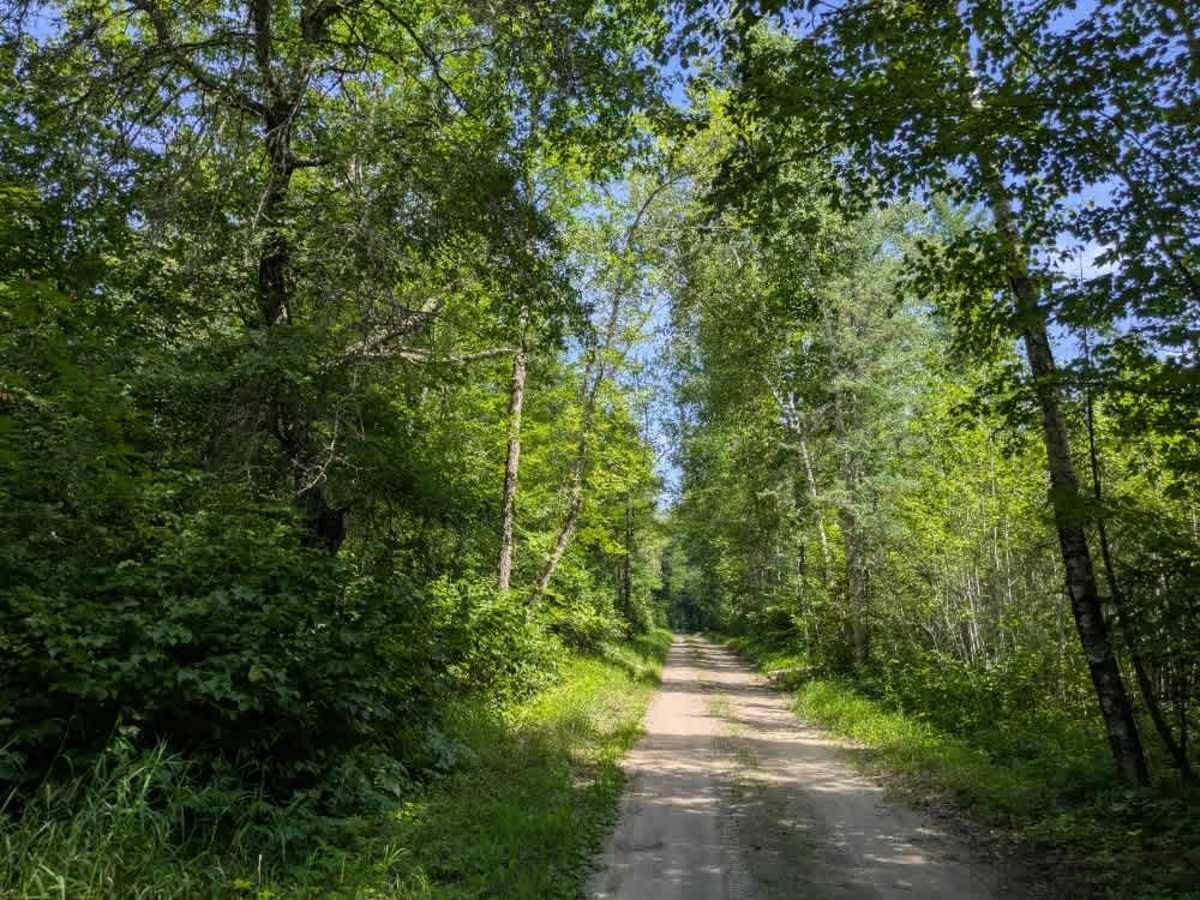 Forest Road 3448 photo 3