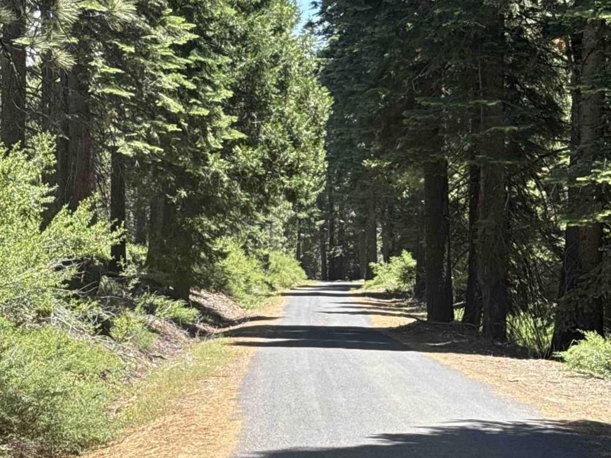 FS 4N25 trail photo