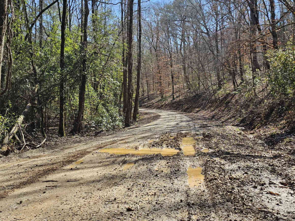 Bishop Road - FS 707 photo 6