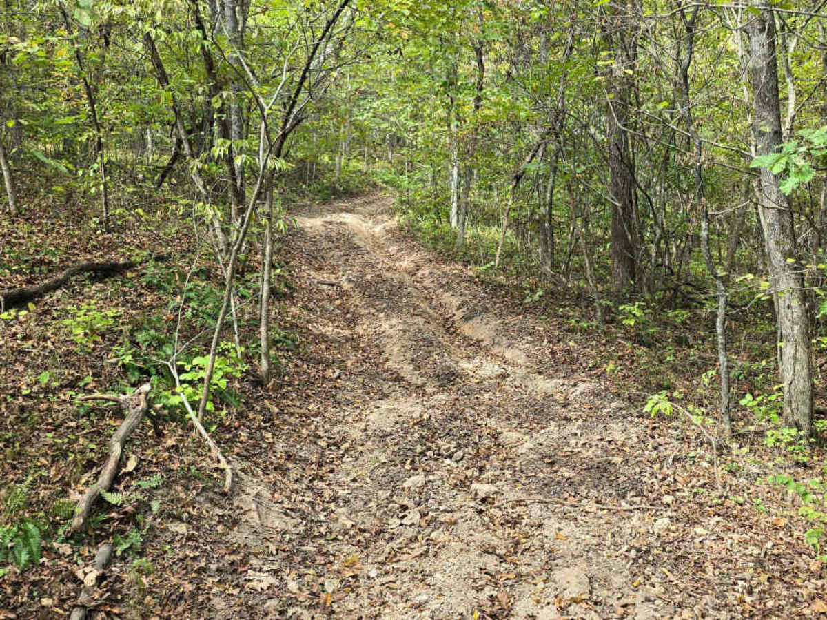 Rocky Road photo 6