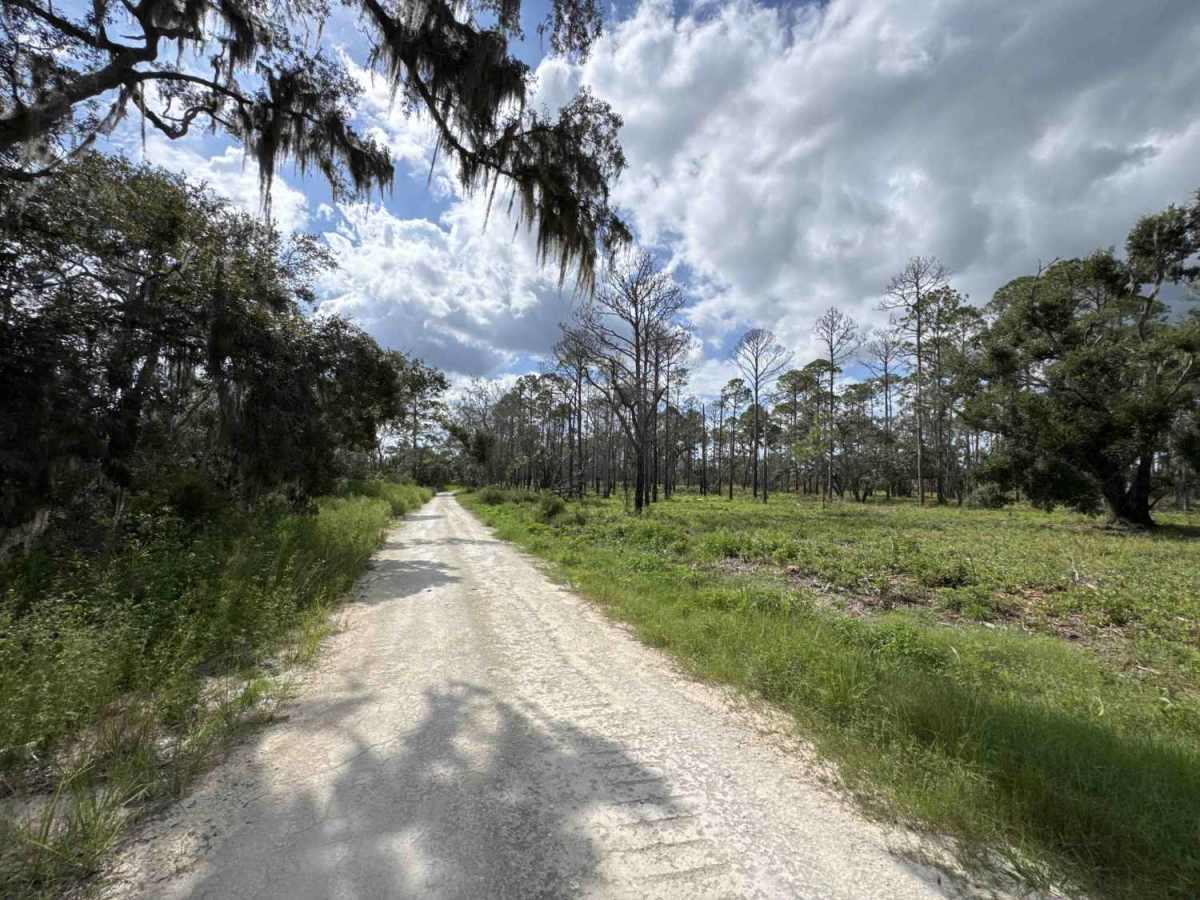 Fishbone Creek Road photo 2