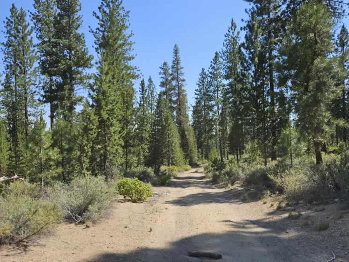 Indian Springs trail photo