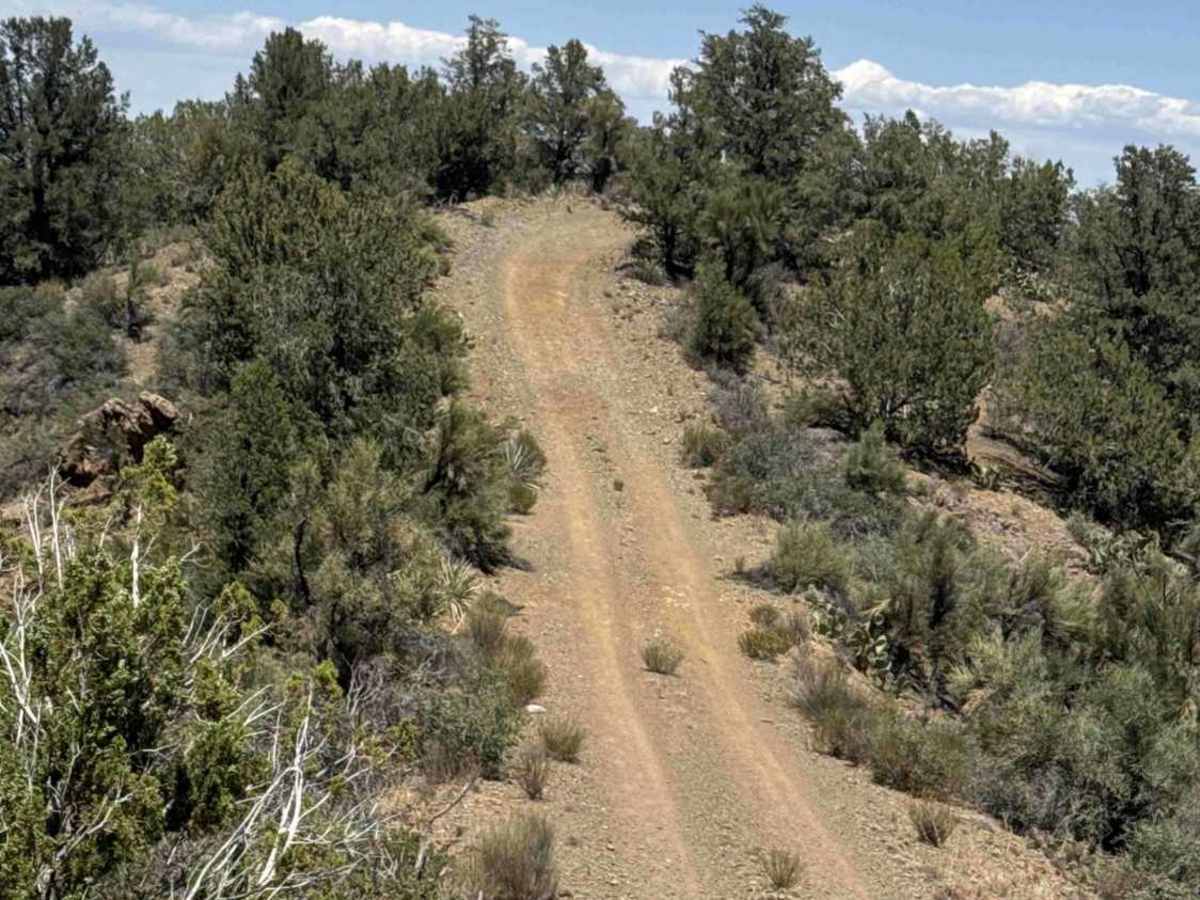 Porcupine Peak Canyon - FS 9602N photo 3
