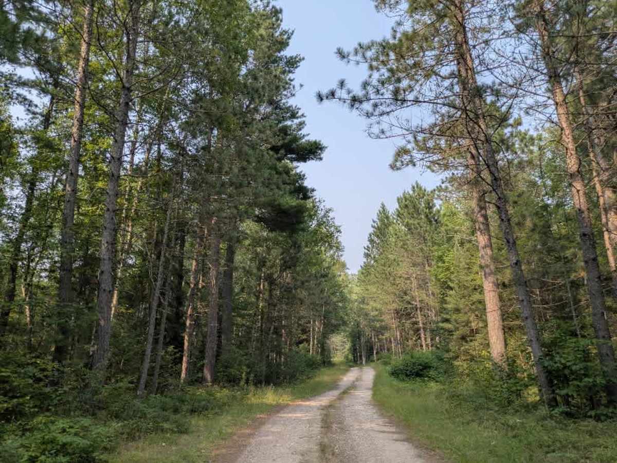 FS 465 trail photo