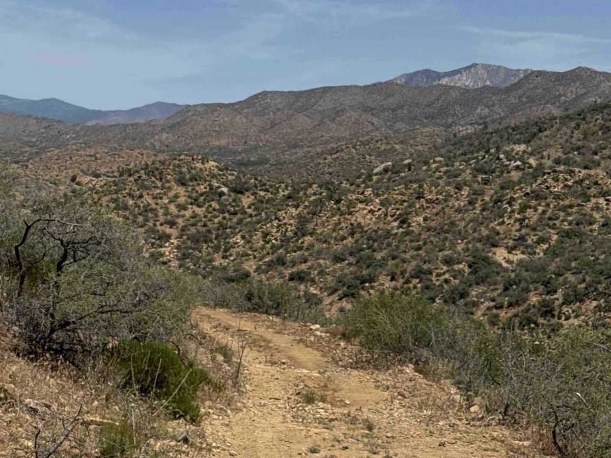 BLM 30022 photo 3