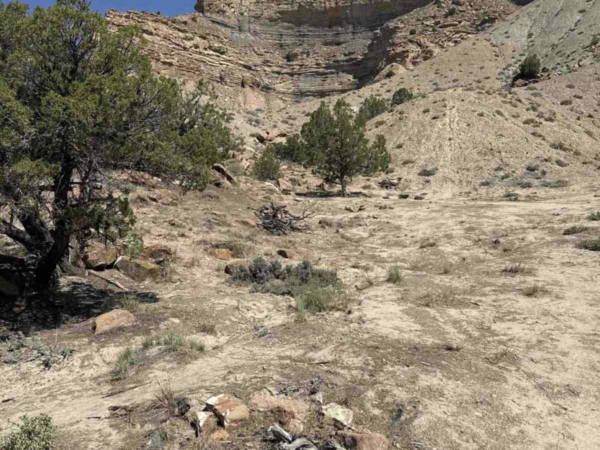 BLM 195 photo 3