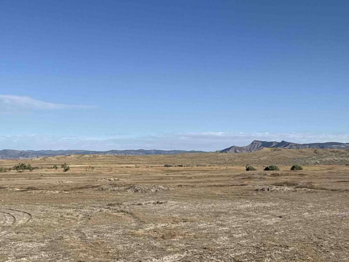 BLM 175 photo 5