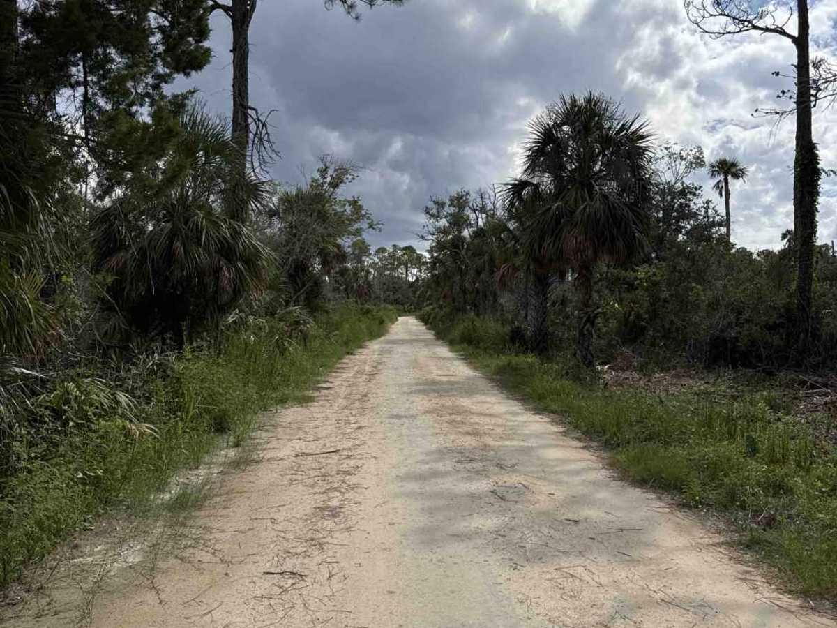 Fishbone Creek Road photo 4