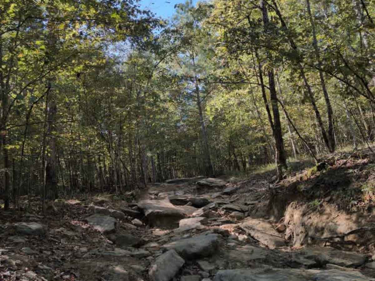 #23 Lucky's Trail photo 4
