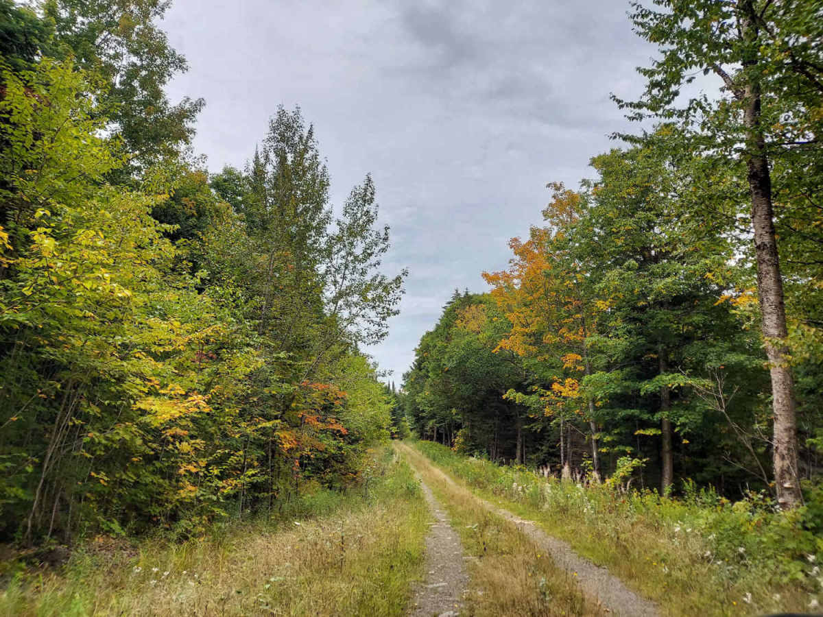 Graham Brook Trail photo 2