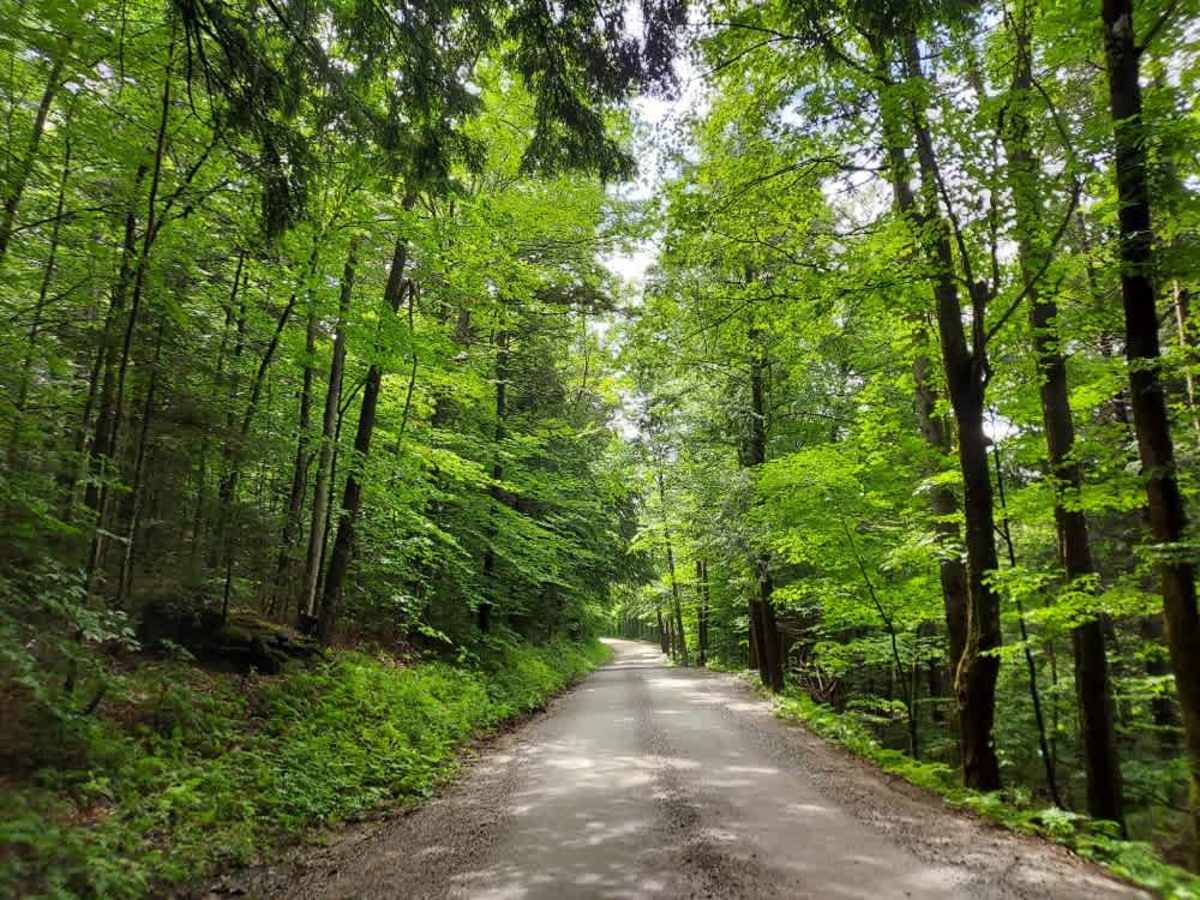 Dailey Hollow Road photo 4