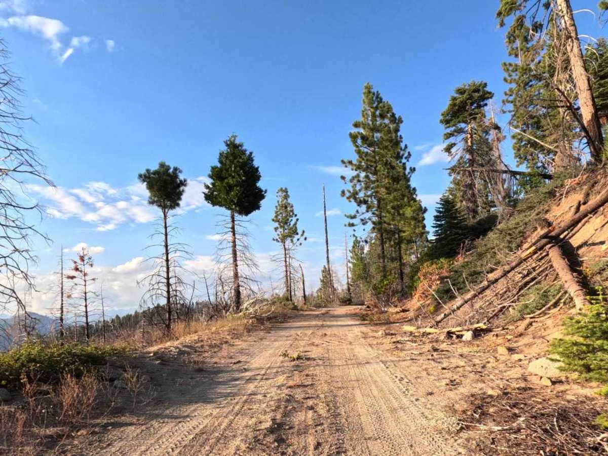 Luman Loop - FS 6S086 photo 4