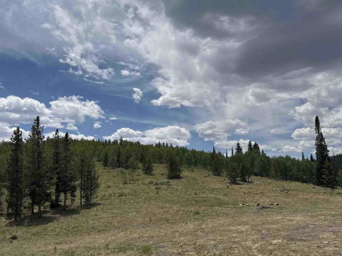 Spruce Divide Road - FS 275 photo 6