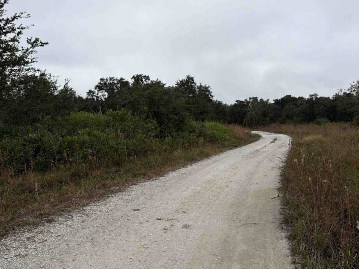 Road 5b - Three Lakes WMA photo 3