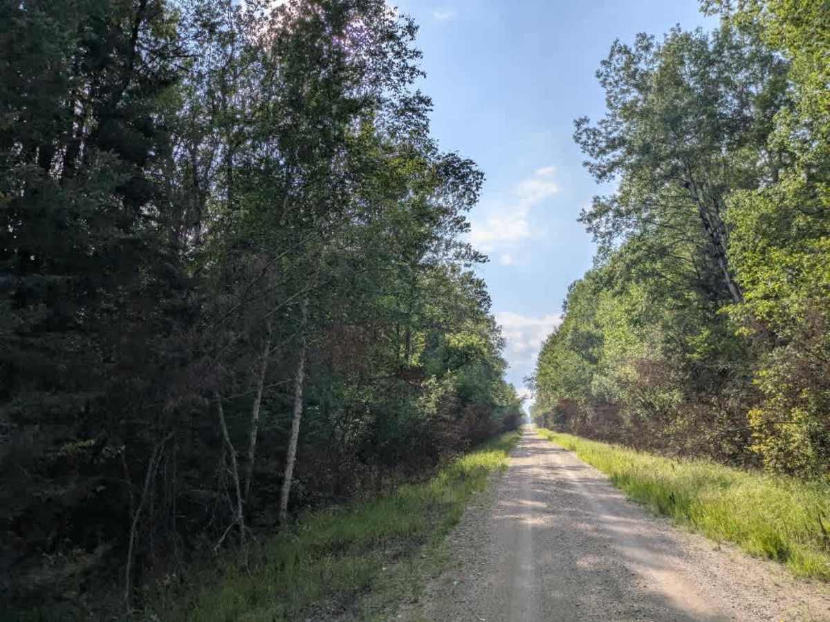 Gallagher Road trail photo