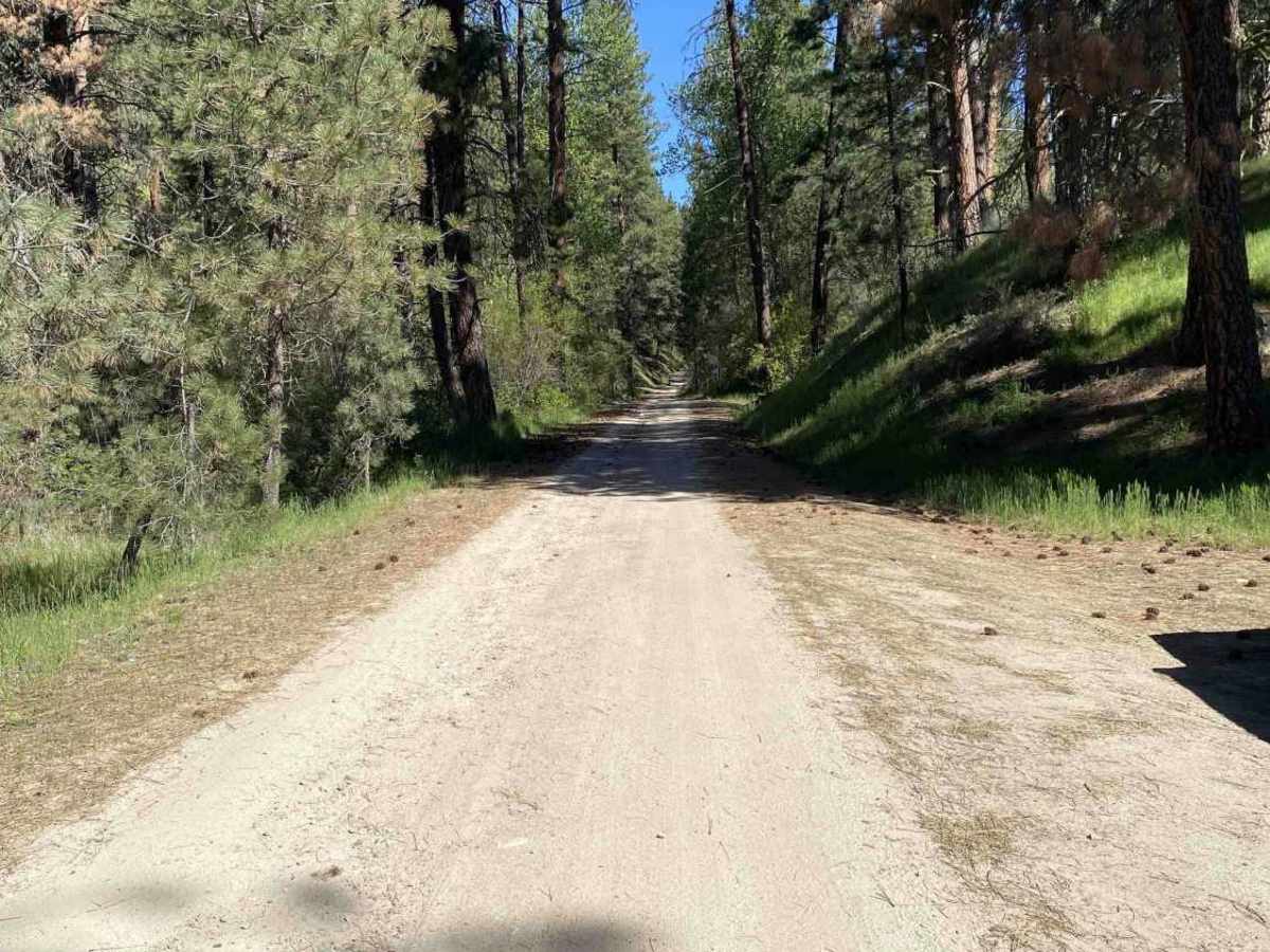 Cottonwood Creek Road - FS 377 trail photo