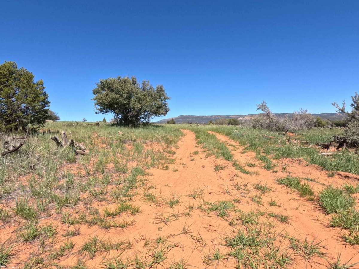 BLM 73  trail photo