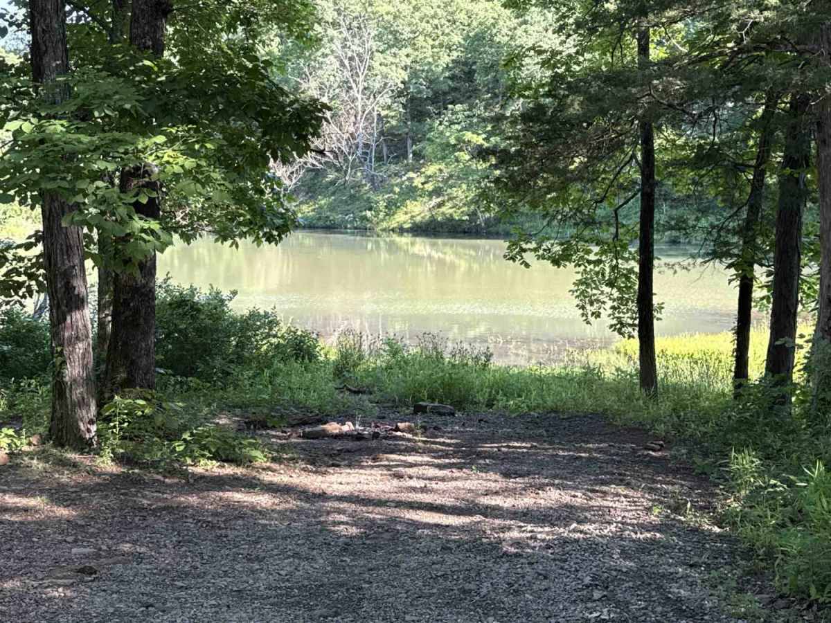 Cove Creek Road photo 6