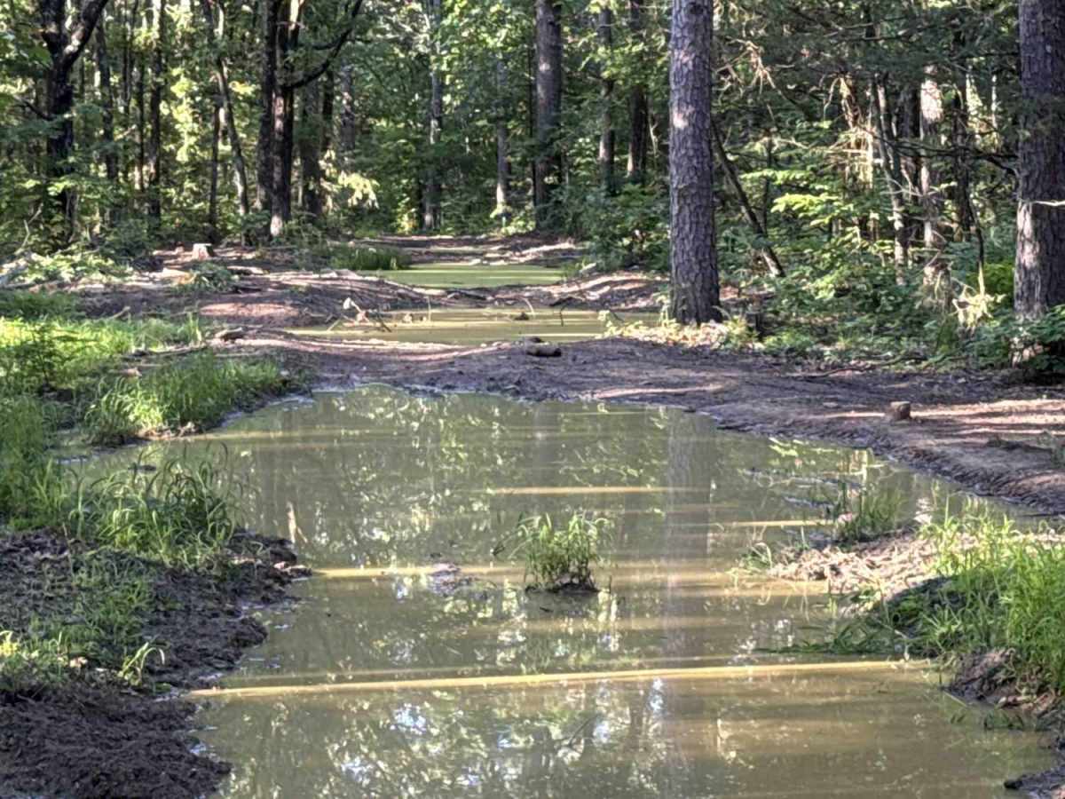 Crawley Ridge trail photo