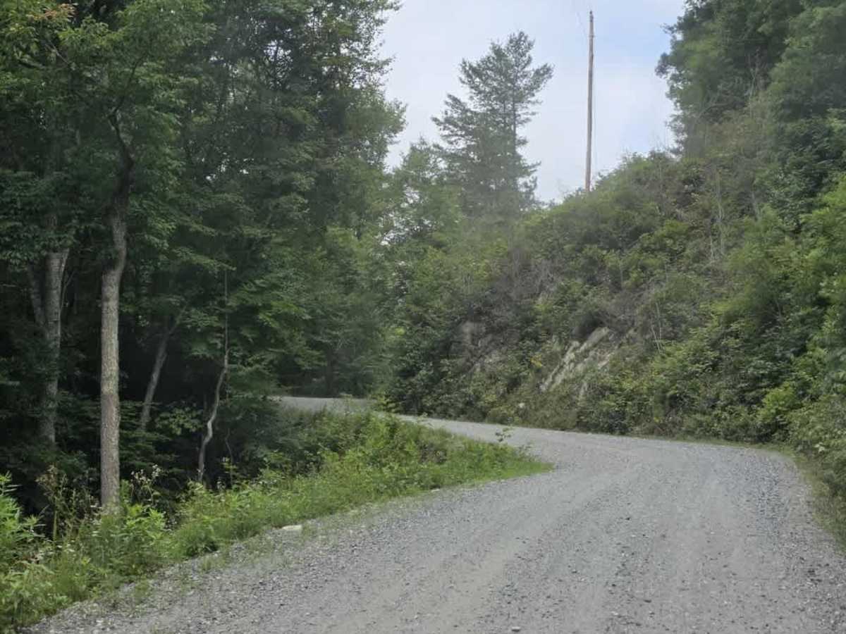 Little Creek Road photo 4