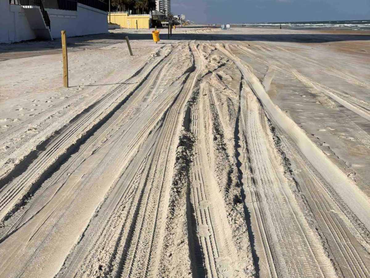 South Ormond Beach photo 6