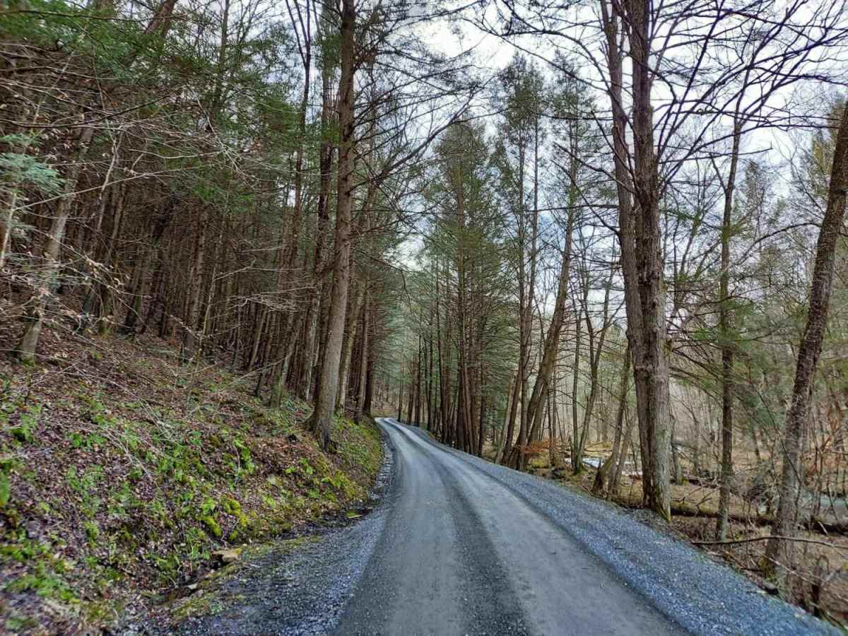 East Hicks Run Road photo 4
