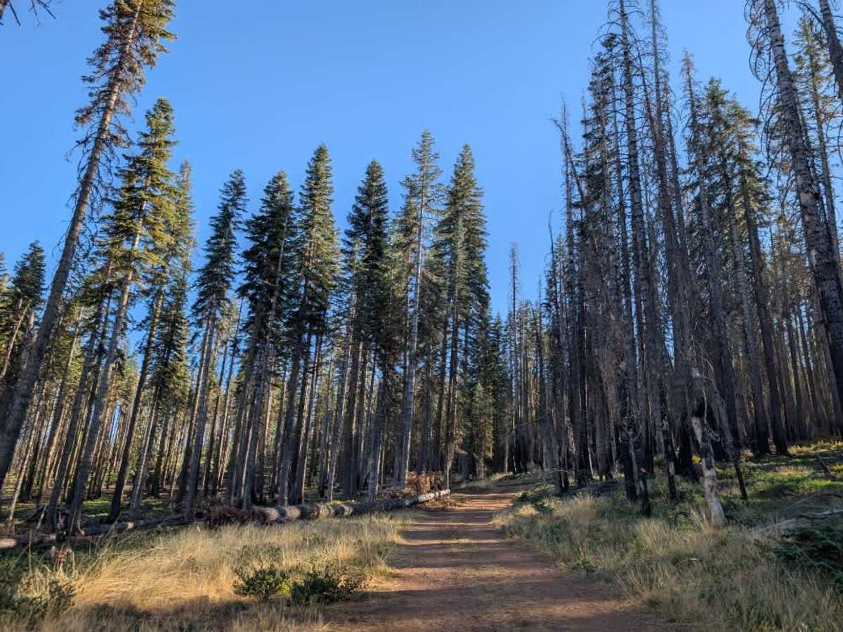 FS 30N32A trail photo