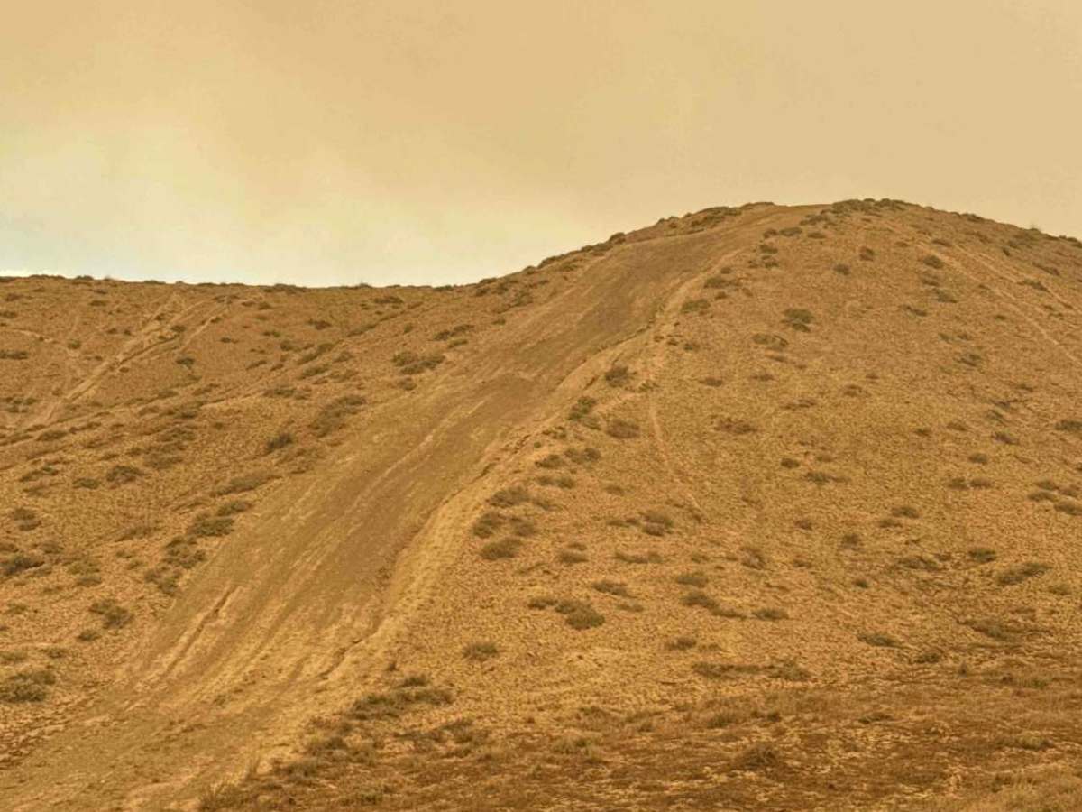 BLM 166 photo 2