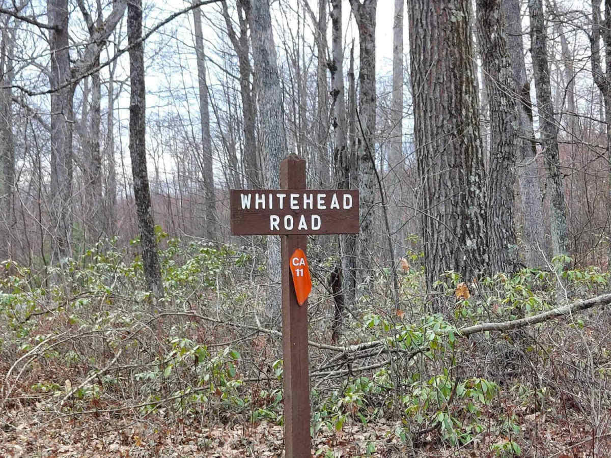 Whitehead Road trail photo