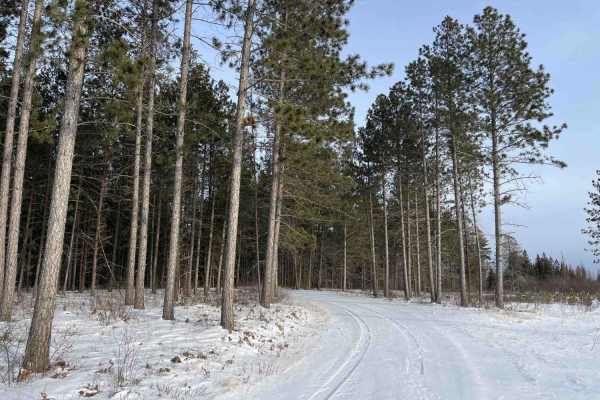 Cole Forest Road