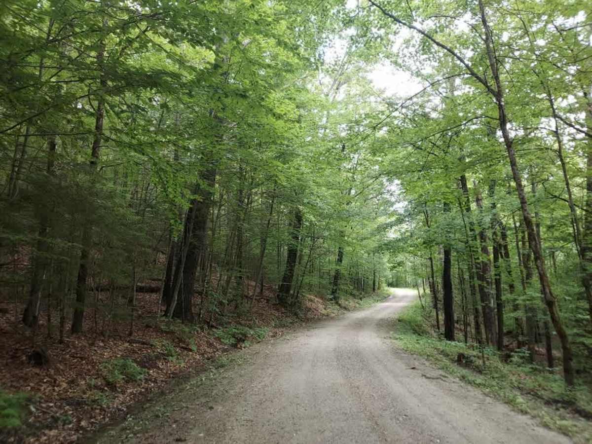 Quarry Road photo 2