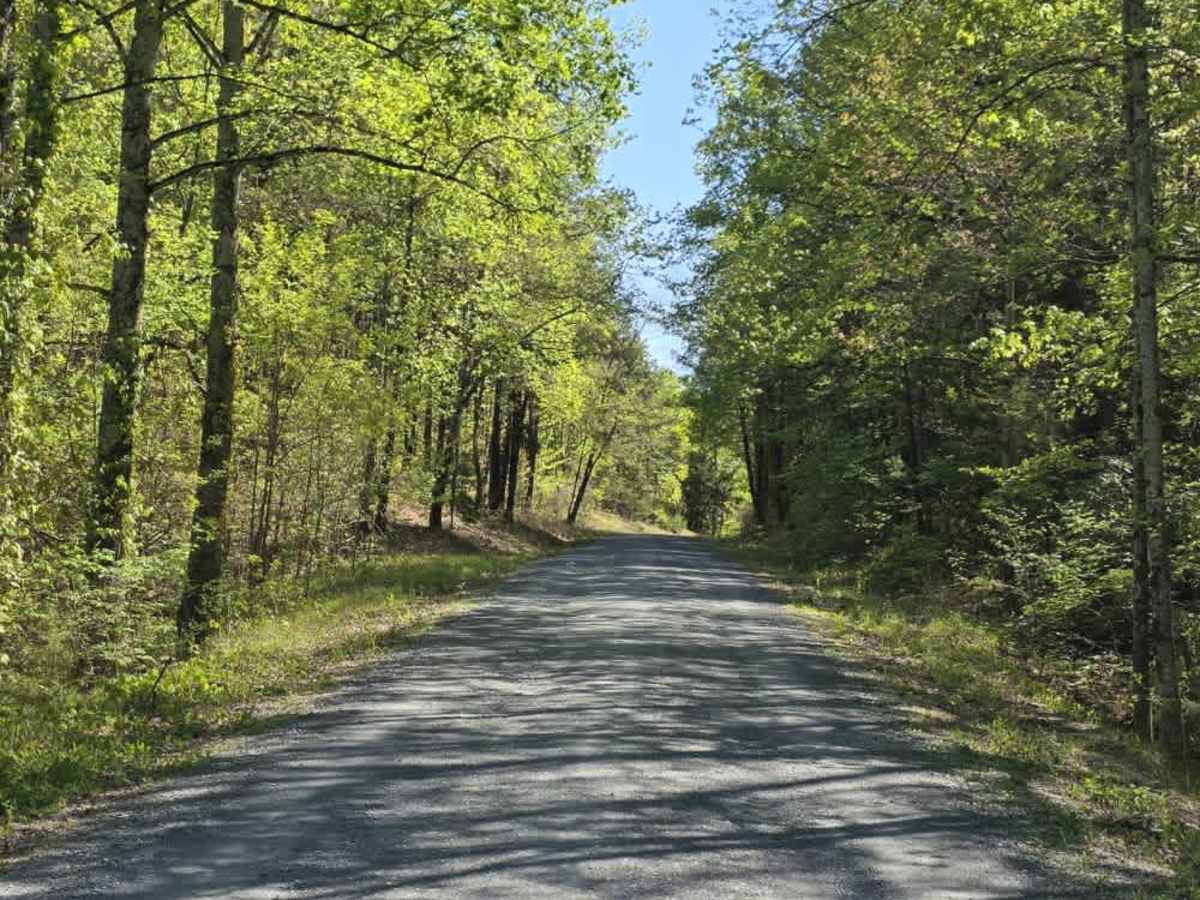 Flatwoods Road photo 4