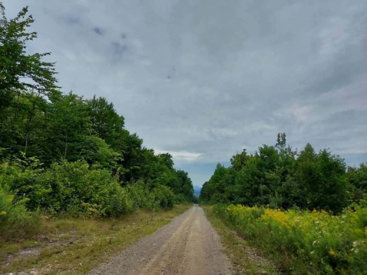 Cut Off Road photo 2