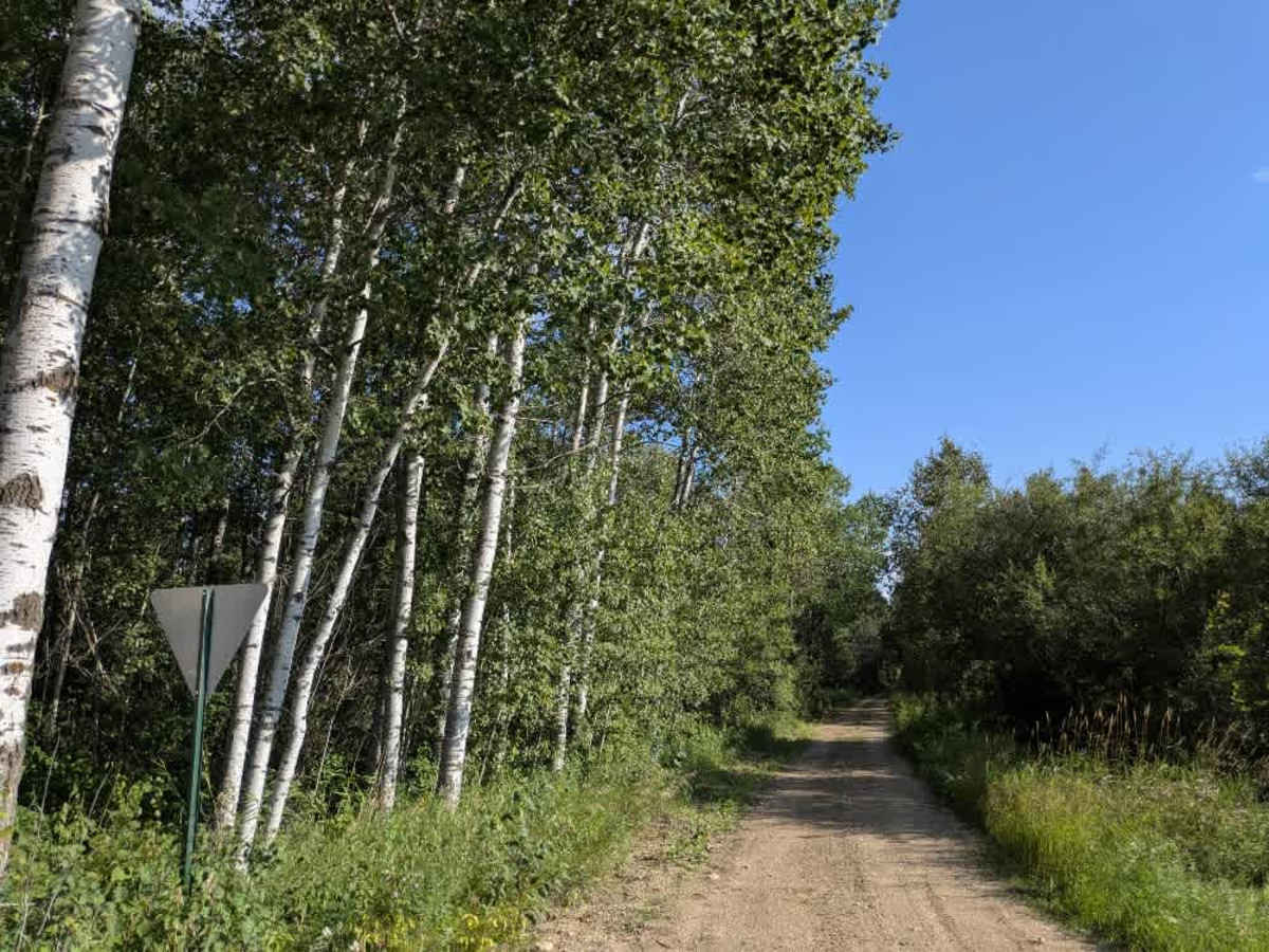 Ditch 10 photo 3