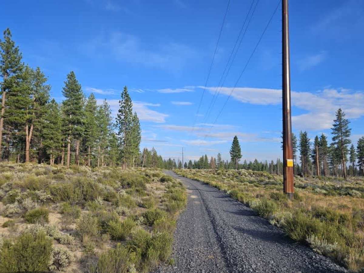 FS 3125017 trail photo
