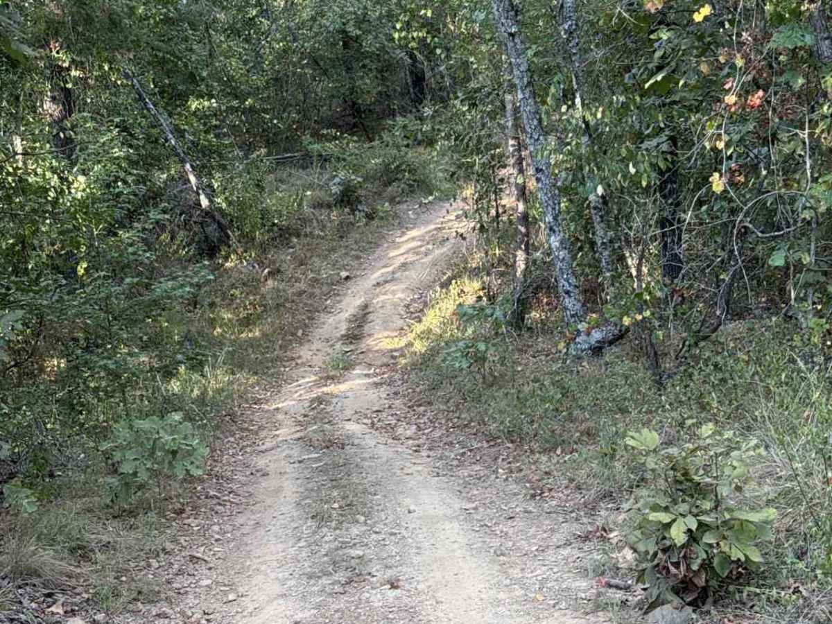 Mana Ridge photo 4