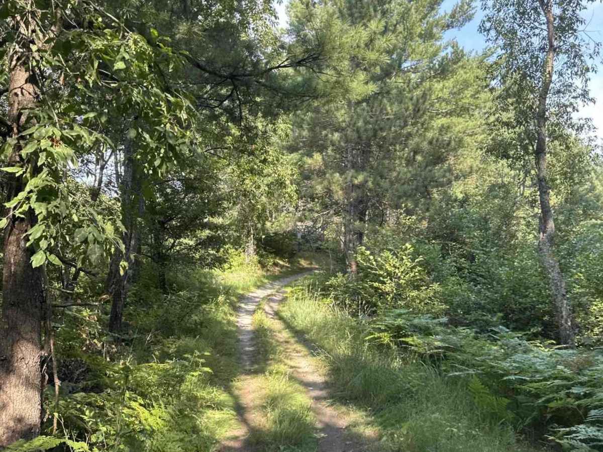 H8-3 Section 2 photo 3