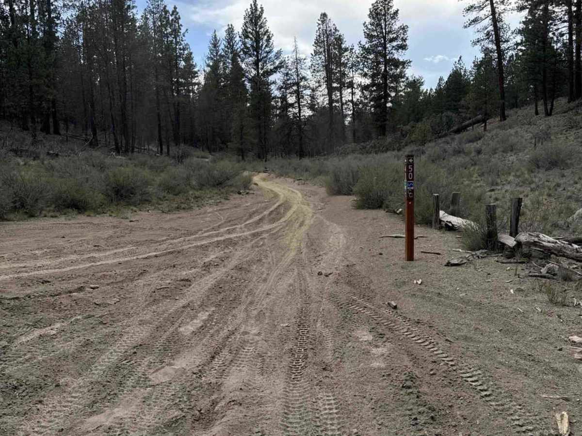 East Fort Rock - OHV Trail 40 photo 6