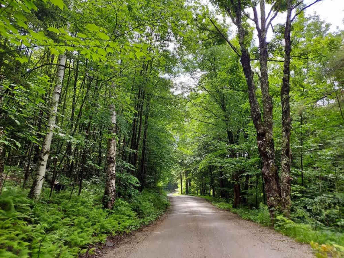 Dailey Hollow Road photo 3