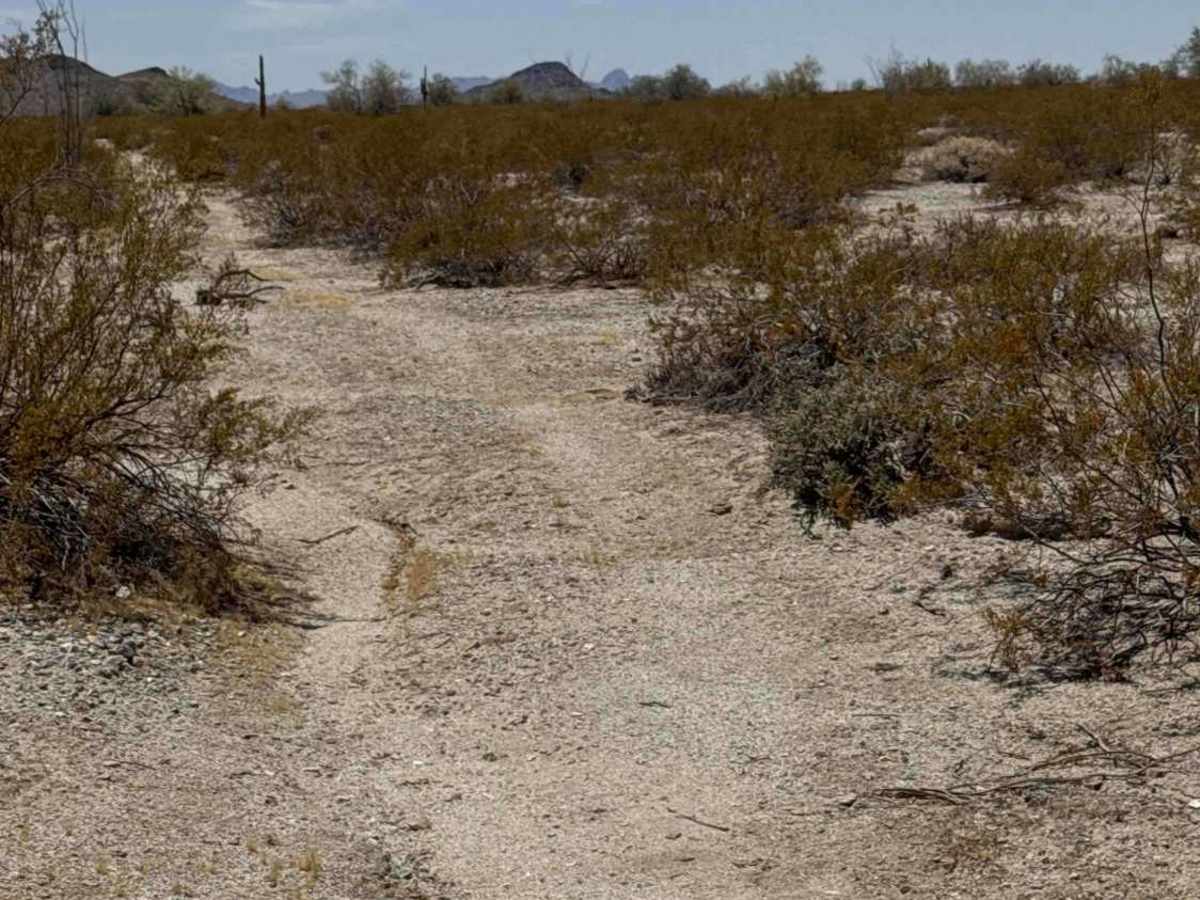 Across the Desert trail photo